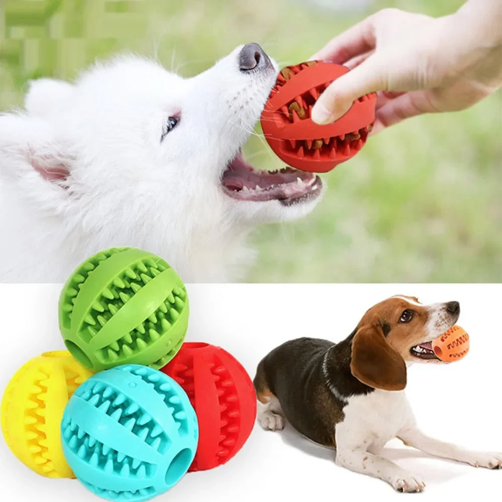 The Interactive Rubber Ball for Chewing and Pet Tooth Cleaning